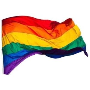 Bandeira Lgbt  Tecido  90 Cm x 1,50 Cm