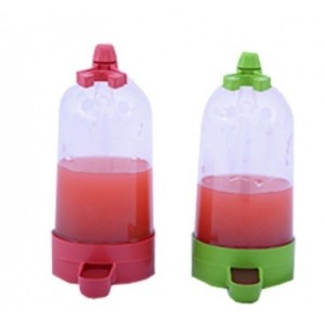 Bebedouro para Sabiá