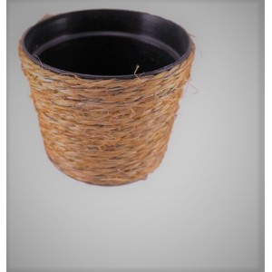 Pote Sisal 1 Ferrugem