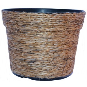 Pote Sisal 2 Rajada