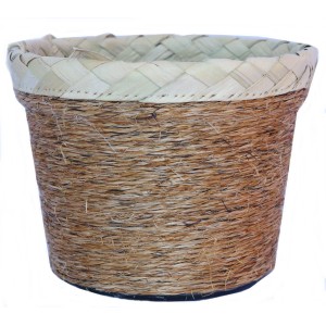 Pote Sisal 3 Rajada