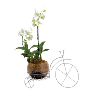 Bicicleta Decorativa Cromada - Estilque