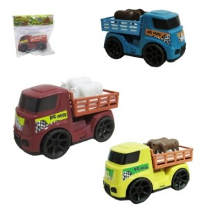 Caminhão  Boiadeiro  Solapa