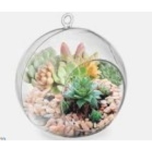 Vaso  Bola  Suspenso Grande