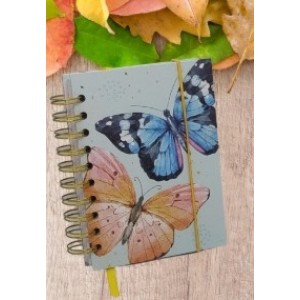 Agenda  Pequena 2023