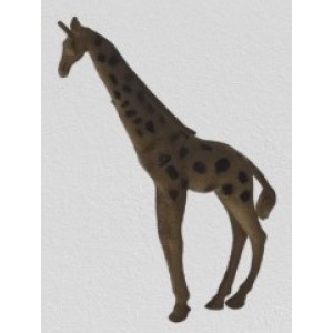 Kit  Animais  Sortidos  Solapa