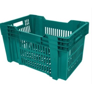 Caixa 31 Ecx- Verde PP