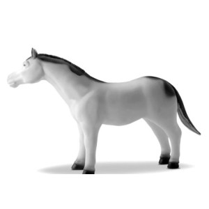 Cavalos Diversos na Cinta