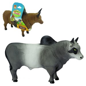 Touros  Diversos Na  Cinta