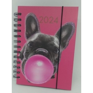 Agenda 336 Pagina 2024